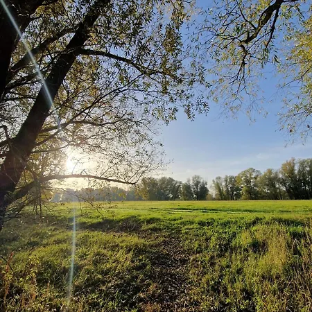 Дом отдыха Stylisches Tiny House Fuer Familien 309